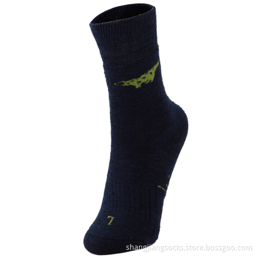Coolmax Socks (SJ-014)